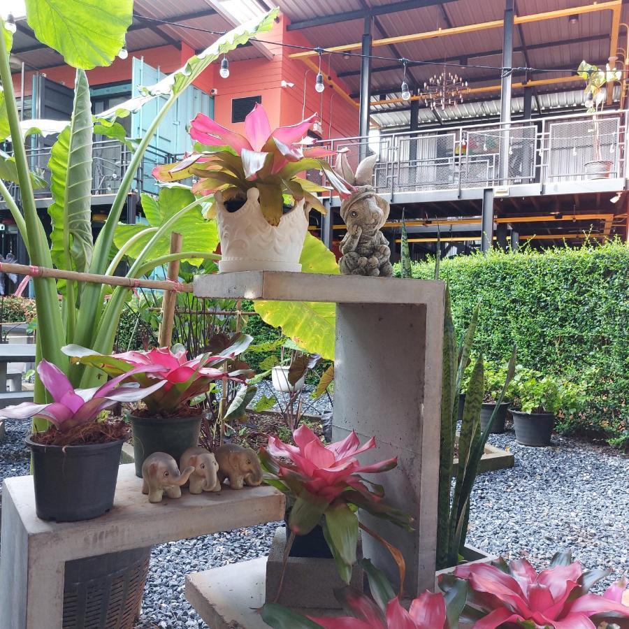 Kipbox Hotel Trang Exterior foto