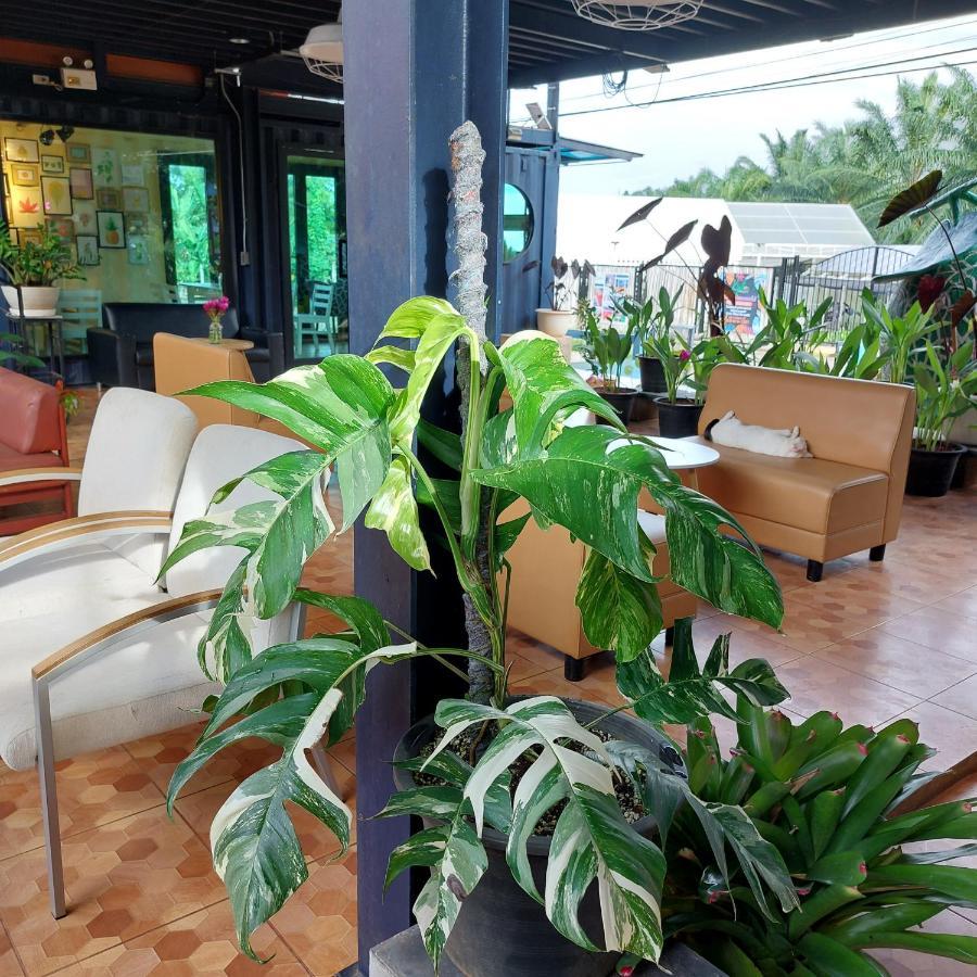 Kipbox Hotel Trang Exterior foto